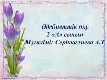 Ппезентация С.Сейфуллин Биржан сал 2сынып