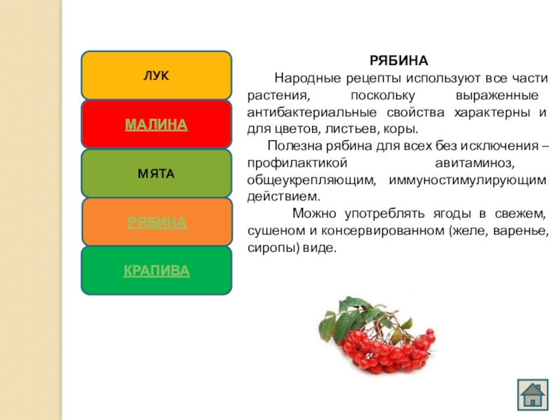 Лекарственные растения сбо 7 класс презентация