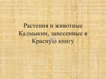 Презентация: Хальмг теегин ангуд