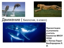 Презентация Движение к уроку биологии 6класс