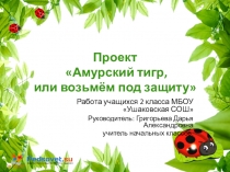 Презентация по окружающему миру Амурский тигр