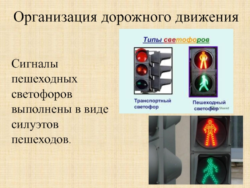 Они выполнены в виде. Светофор с двумя сигналами. Сигнальный пешеходный светофор. Типы пешеходных светофоров. Сигналы светофора ОБЖ.