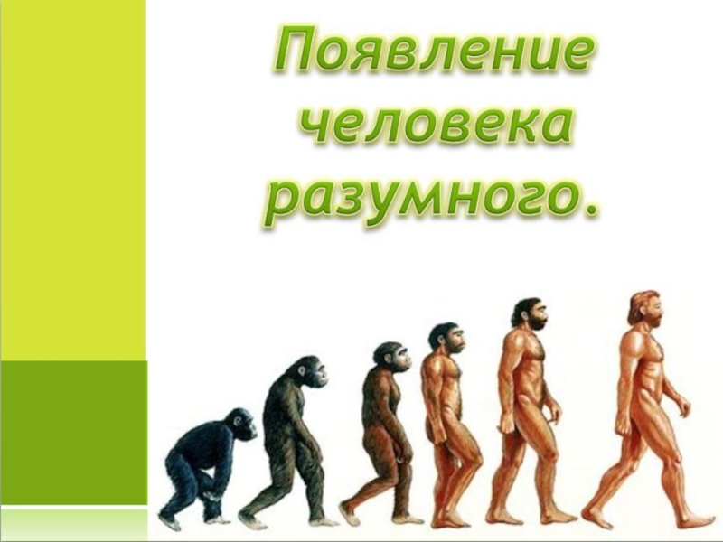 Презентация по уроку биологии на тему Возникновение жизни на Земле 11 класс