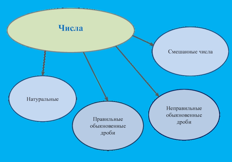 Естественно правильная. Междисциплинарная связь в уроке математики на тему десятичные дроби.