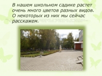 Презентация Пришкольный участок 2016