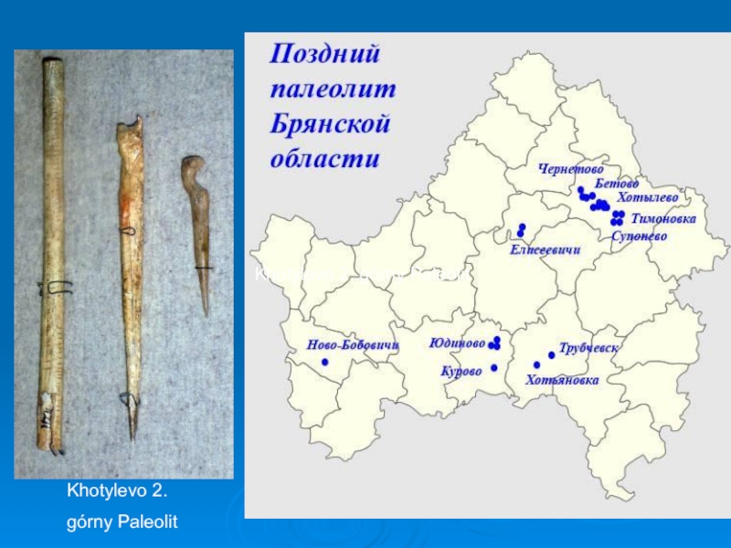 Карта почв брянской области