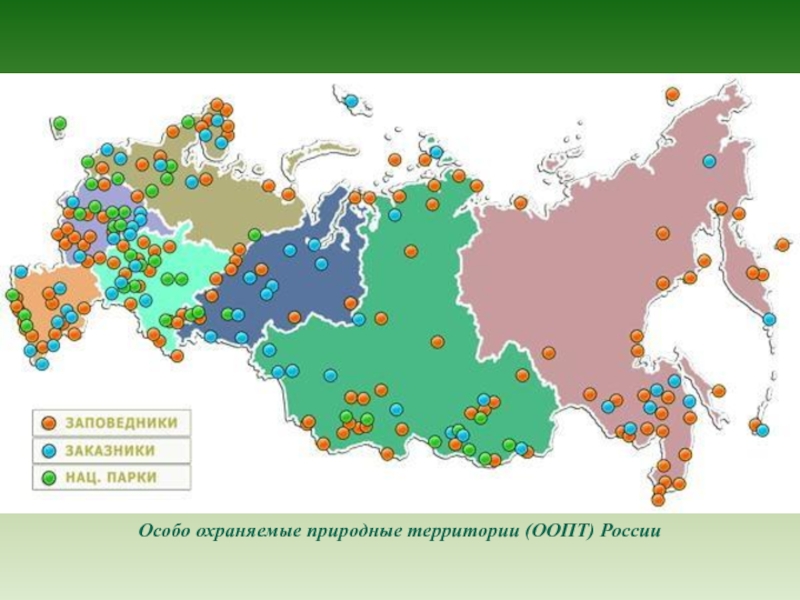 Особо охраняемые природные территории (ООПТ) России