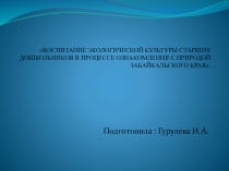 ПрезентацияВОСПИТАНИЕ ЭКОЛОГИЧЕСКОЙ КУЛЬТУРЫ СТАРШИХ ДОШКОЛЬНИКОВ В ПРОЦЕССЕ ОЗНАКОМЛЕНИЯ С ПРИРОДОЙ ЗАБАЙКАЛЬСКОГО КРАЯ