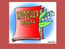 Презентации по страницам Красной Книги