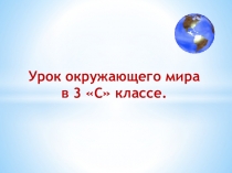 Презентация к уроку окружающего мира Дорожные знаки (3 класс)