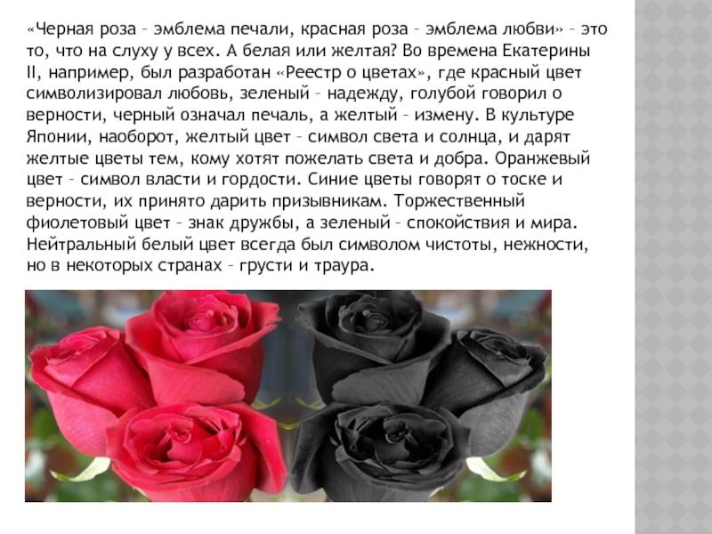 «Черная роза – эмблема печали, красная роза – эмблема любви» – это то, что на слуху у