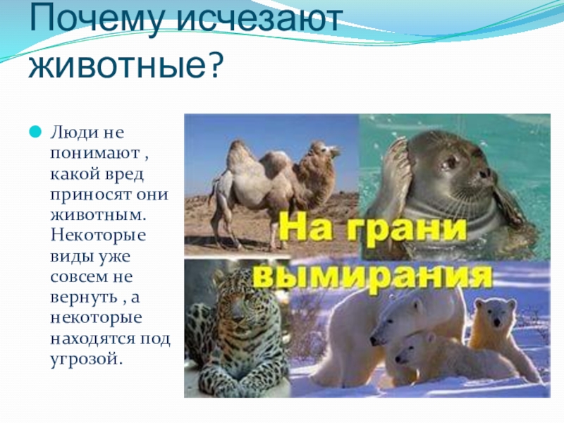 Исчезли почему с