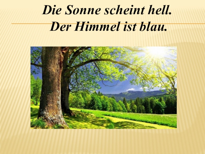 Die sonne