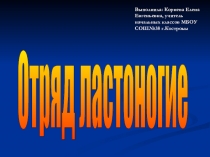 Презентация по окружающему миру на тему Отряд ластоногие