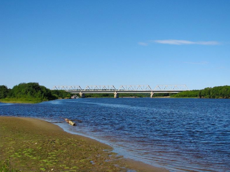 Ноглики сахалин фото