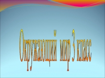 Презентация по окружающему миру на тему Обобщение знаний по разделу Наша безопасность