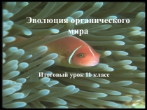 Презентация по биологии Эволюция органического мира (урок обобщения знаний,11 класс)