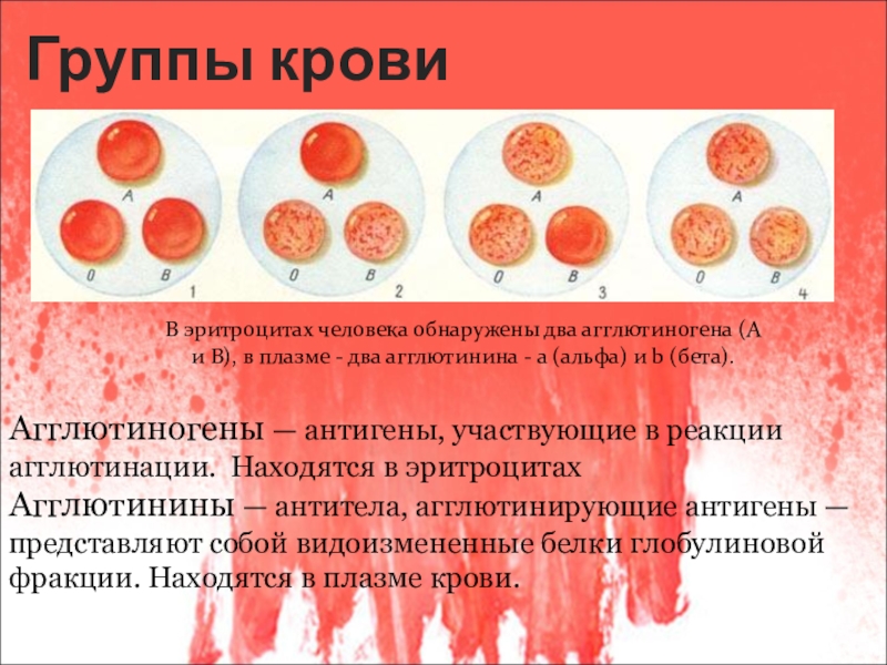 Если на эритроцитах обнаружен только антиген в исследуемый образец крови относится к группе