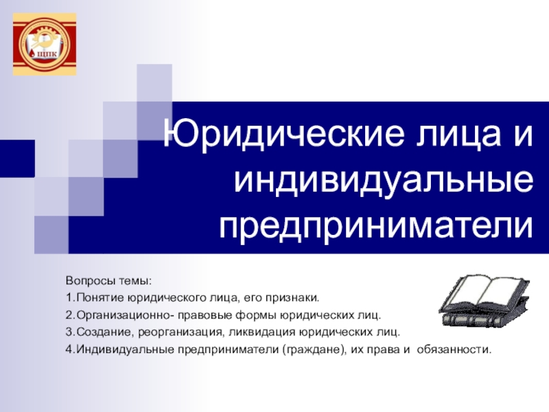 1 юридическое лицо. Юридическое лицо. ИП это юр лицо. Индивидуальный предприниматель это юридическое. Индивидуальное предпринимательство и юридическое лицо.