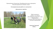 Презентация Исследовательская работа по математике Математика и футбол