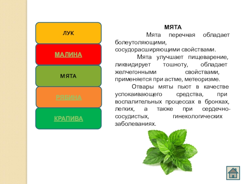 Презентация по сбо 7 класс лекарственные растения