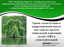 Уроки лозоплетения в коррекционной школе как одно из средств социальной адаптации детей с ОВЗ в самостоятельной жизни