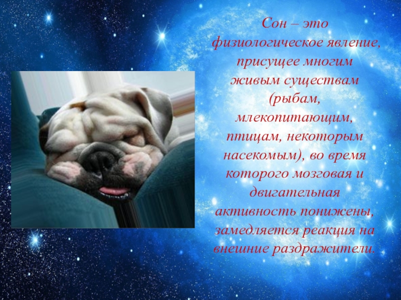 деятельность присуща всем живым существам