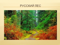 Презентация к уроку биологии на темуЛес7 класс коррекционной школы