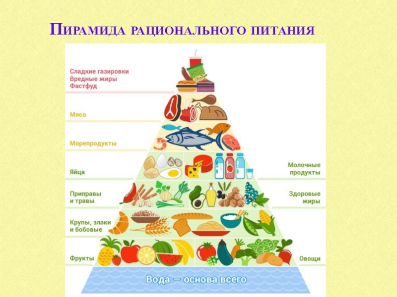 Диета после 40 лет мужчине. Пирамида здорового питания. Пирамида питания пожилых людей. Пирамида правильного питания для пожилых. Пирамида питания здорового человека.
