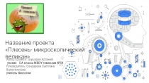 Презентация исследовательского проекта по биологииПлесень- микроскопический великан