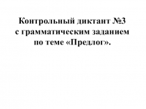 Контрольный диктант №3 с грамматическим заданием по теме Предлог.