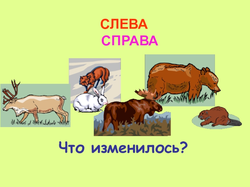 Справа слева. Слева справа. Лева права. Спереди сзади слева справа. Слева справа картинки.