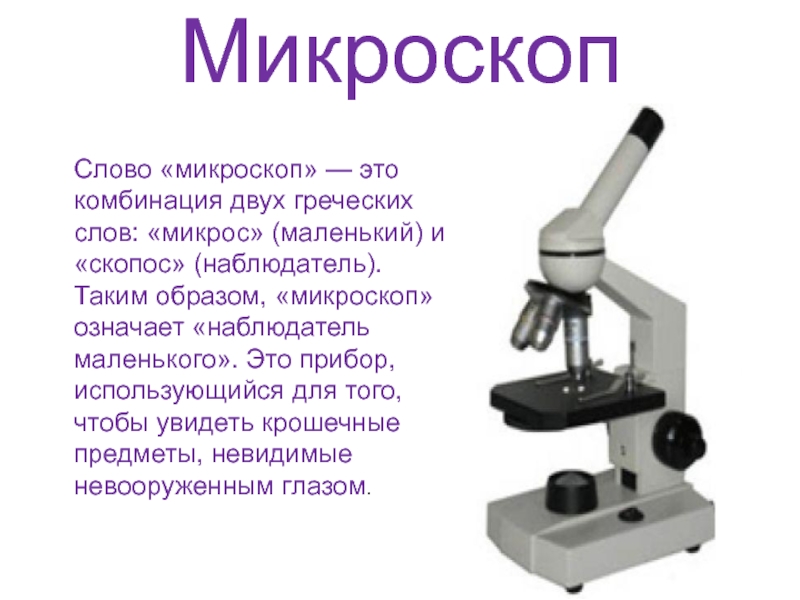 Презентация на тему микроскоп