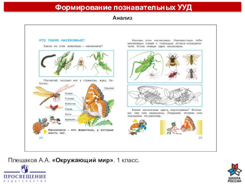 Умения окружающий мир. Задания на Познавательные УУД школа России. Познавательные УУД окружающий мир. Плешаков окружающий мир УУД. УУД окружающий мир.