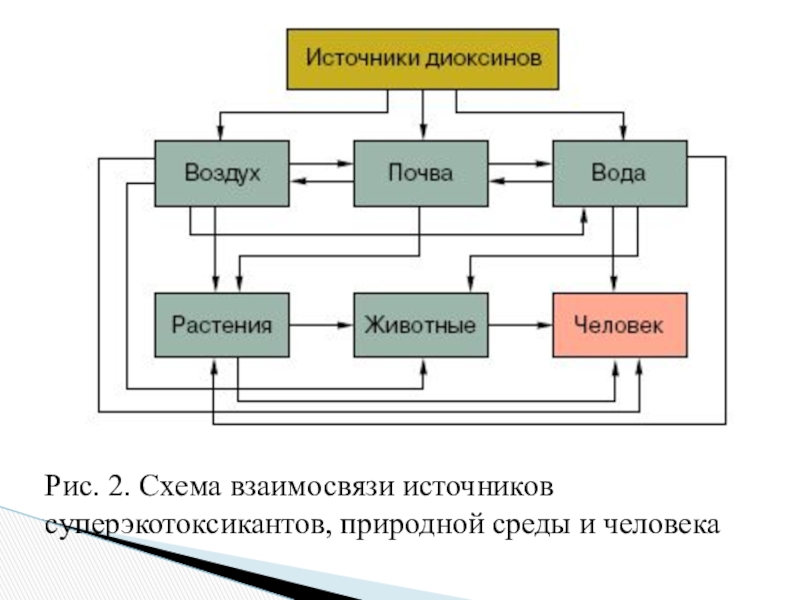 Используя приведенные источники. Схема взаимосвязи источников токсичных веществ. Схема поступления диоксинов в организм человека. Источники диоксинов. Источники поступления диоксинов в окружающую среду.