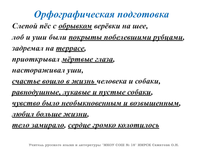 Орфографическая подготовкаСлепой пёс с обрывком верёвки на шее, лоб и уши были покрыты побелевшими рубцами,задремал на террасе,