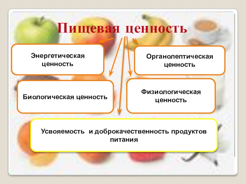 Биологическая ценность пищевых продуктов