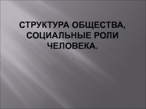 Презентация по обществознанию Структура общества, социальные роли человека 8 класс