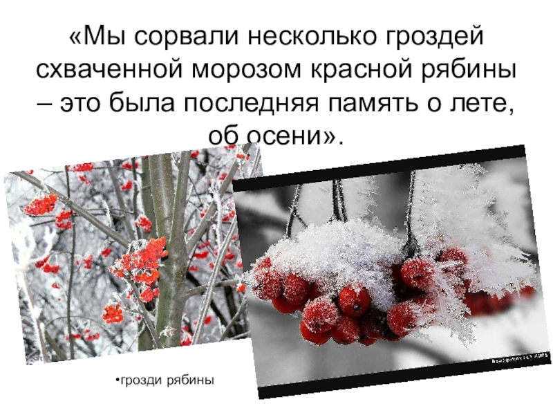 Паустовский снег. Паустовский прощание с летом. Паустовский прощание с летом иллюстрации. Константин Паустовский прощание с летом. Рассказ прощание с летом.