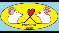 Презентация: Every Little Mouse - Irregular Plural Noun Song