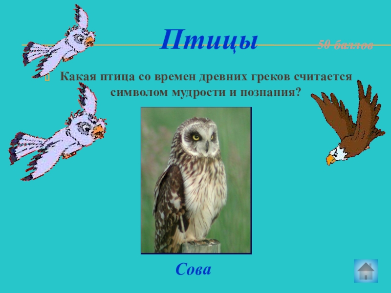 какая птица считается символом. какую птицу считают символом свободы в россии. какая птица считается символом мира. какая птица является символом мира россии. какая птица является символом красоты.