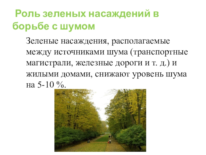 Роль зеленого. Роль зеленых насаждений. Шум и зеленые насаждения. Роль зеленых насаждений в природе. Главные функции зеленых насаждений.