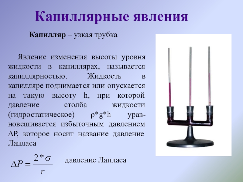 Поднялся капилляром. Капиллярностью называется явление. Высота поднятия или опускания столба жидкости в трубке. Явление измерения высоты уровня жидкости в капиллярах. Крестовой жидкостный уровень..