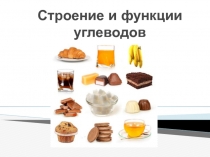 Презентация по биологии 10 класс на тему Строение и функции углеводов