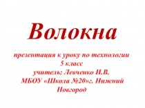 Презентация по технологии 5 класс на тему  Волокна