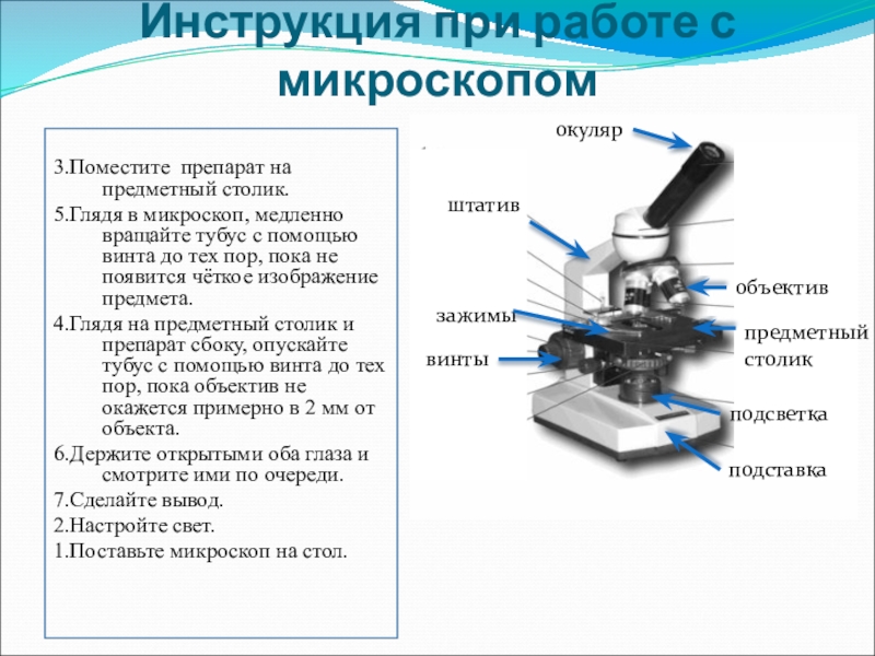 Владислава на уроке изучал устройство цифрового микроскопа и делал соответствующие подписи к рисунку