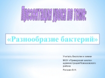 Презентация по биологии на тему Разнообразие бактерий (6 класс)