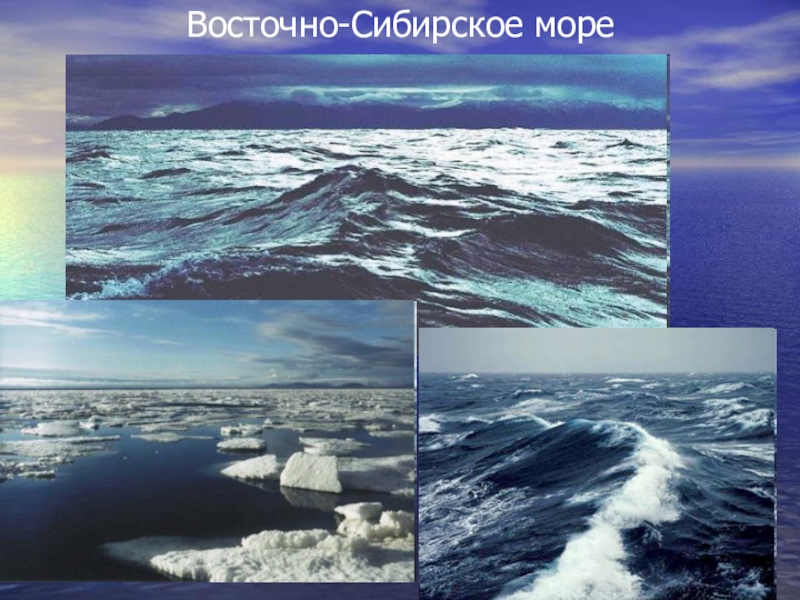 Проект сибирского моря