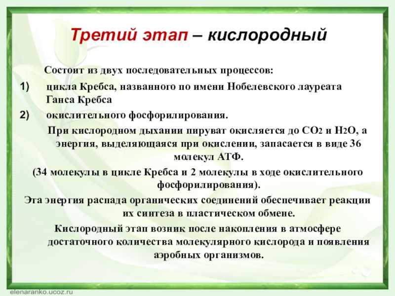 Третий этап – кислородный	Состоит из двух последовательных процессов:цикла Кребса, названного по имени Нобелевского лауреата Ганса Кребсаокислительного фосфорилирования.