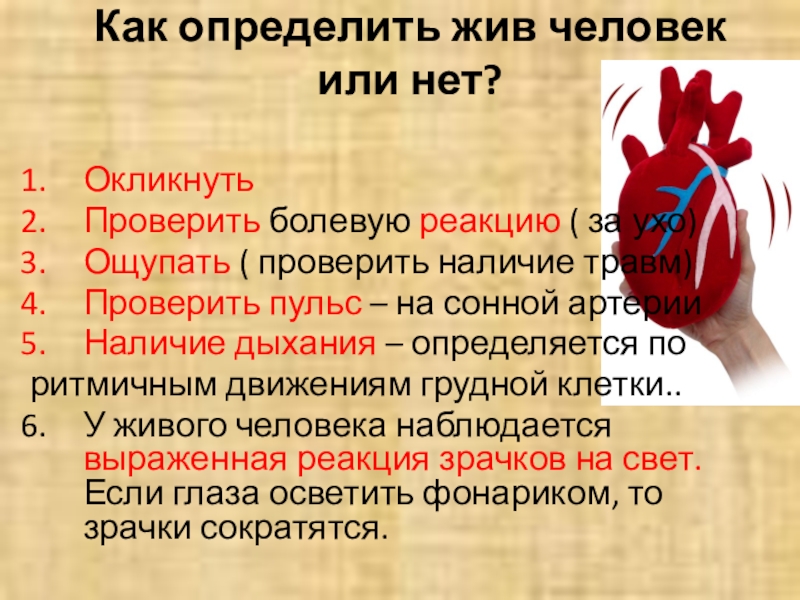 Как узнать жив. Как определить жив человек или нет. Мертвый или живой как распознать это.